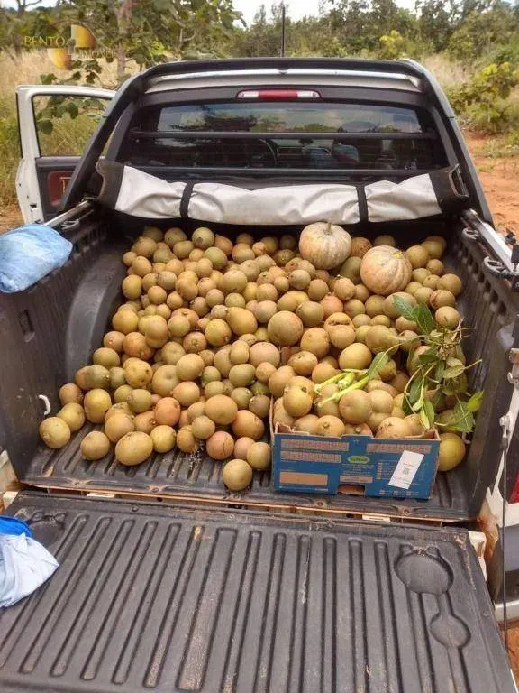 Chácara à venda de 10 ha em Chapada dos Guimarães, MT, Brasil