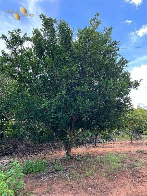 Chácara à venda de 10 ha em Chapada dos Guimarães, MT, Brasil