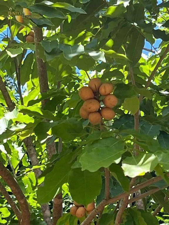 Chácara à venda de 10 ha em Chapada dos Guimarães, MT, Brasil