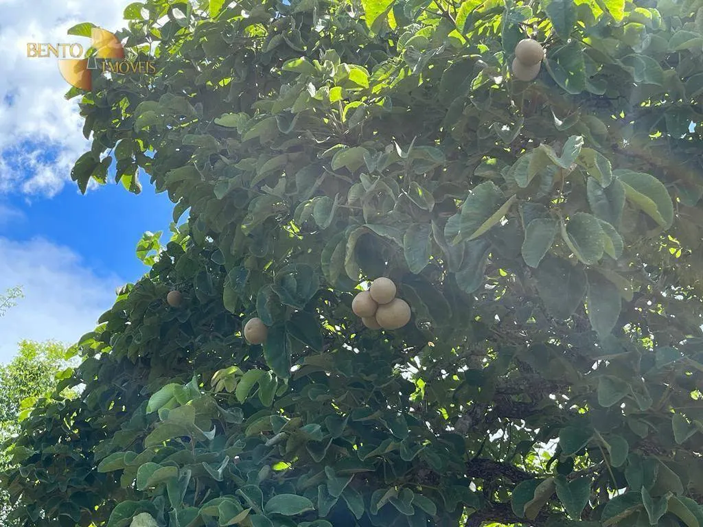 Chácara à venda de 10 ha em Chapada dos Guimarães, MT, Brasil