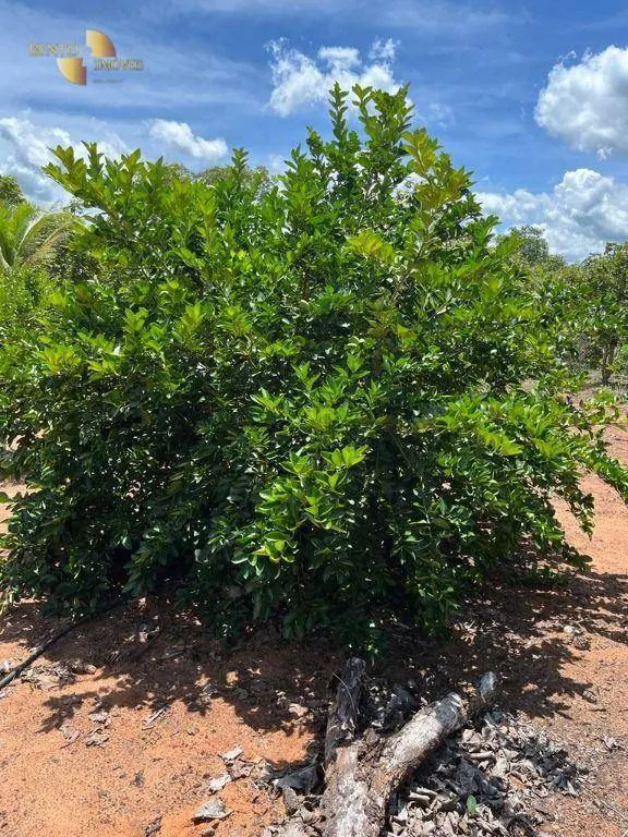 Chácara à venda de 10 ha em Chapada dos Guimarães, MT, Brasil