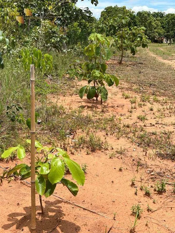 Chácara à venda de 10 ha em Chapada dos Guimarães, MT, Brasil