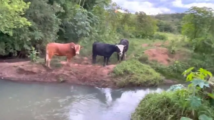Sítio à venda de 30 ha em Taquara, RS, Brasil