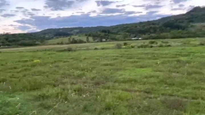 Sítio à venda de 30 ha em Taquara, RS, Brasil