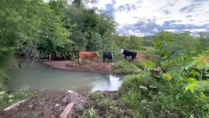 Sítio à venda de 30 ha em Taquara, RS, Brasil