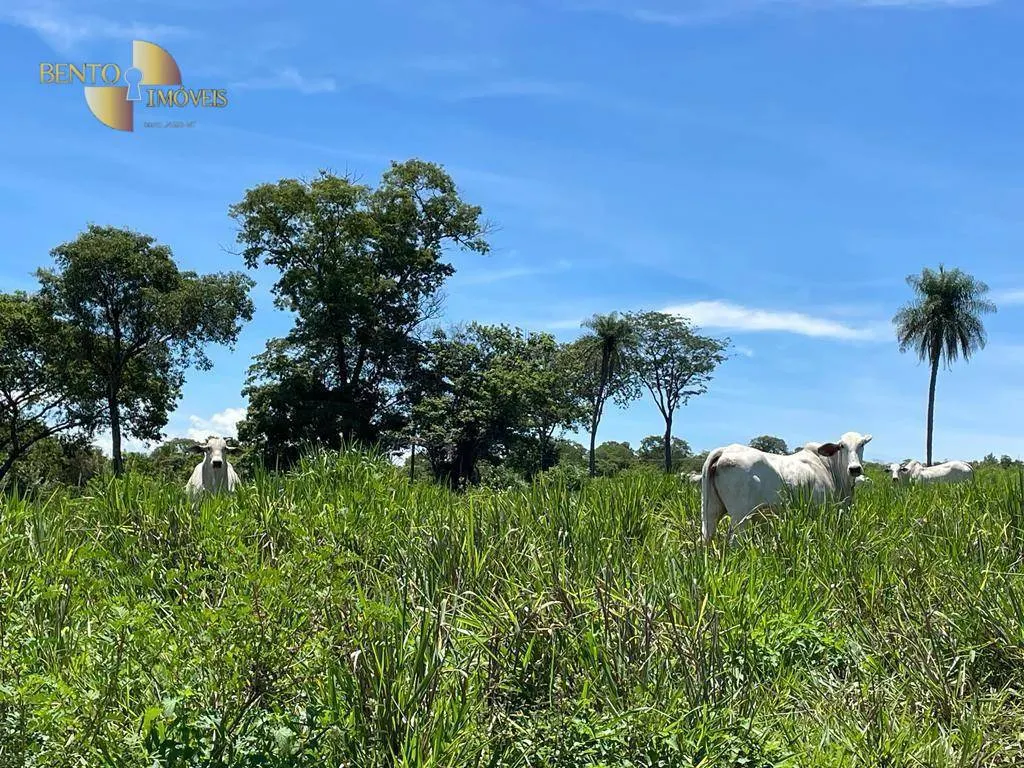 Fazenda à venda de 280 ha em Chapada dos Guimarães, MT, Brasil