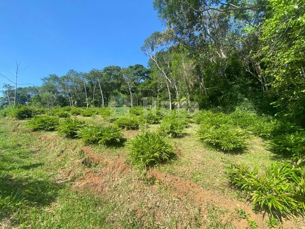 Fazenda à venda de 13 ha em Canelinha, SC, Brasil