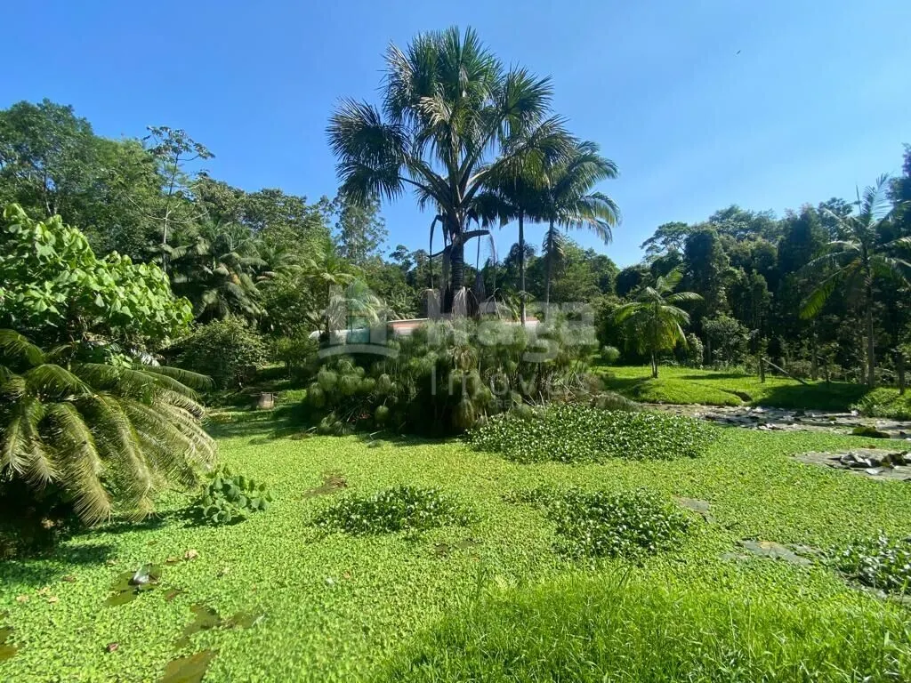 Fazenda à venda de 13 ha em Canelinha, SC, Brasil
