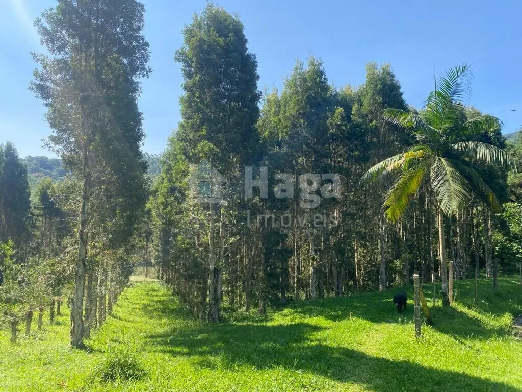 Fazenda à venda de 13 ha em Canelinha, SC, Brasil