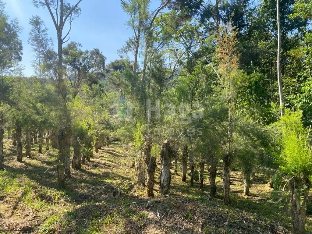 Fazenda à venda de 13 ha em Canelinha, SC, Brasil