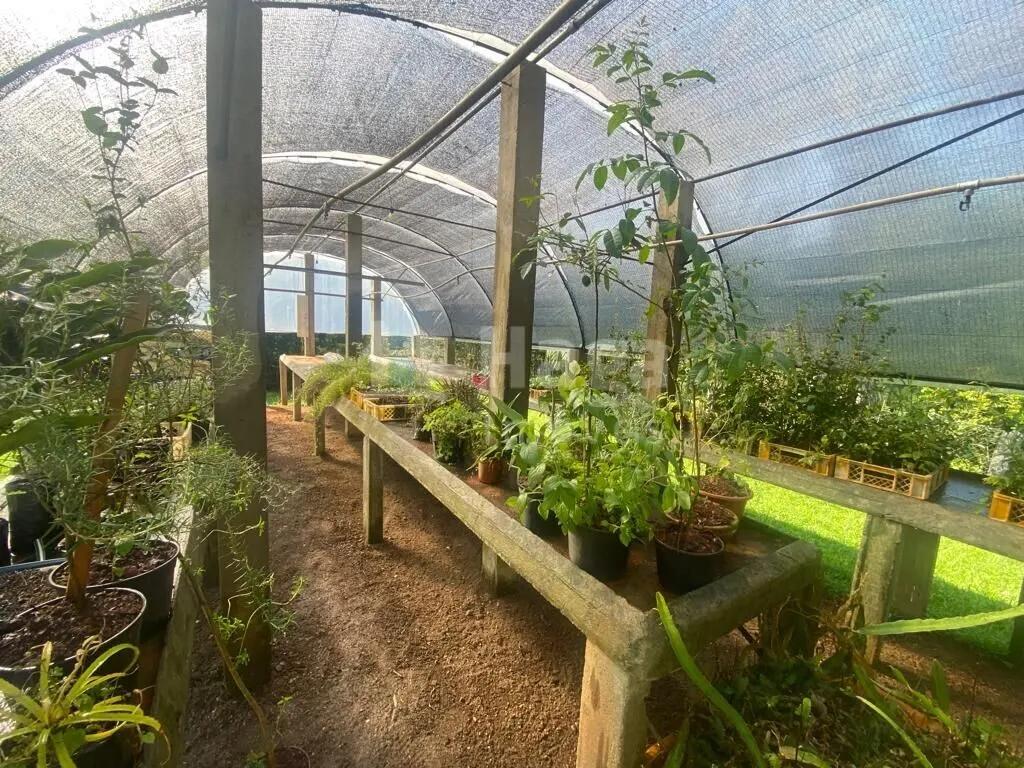 Fazenda à venda de 13 ha em Canelinha, SC, Brasil