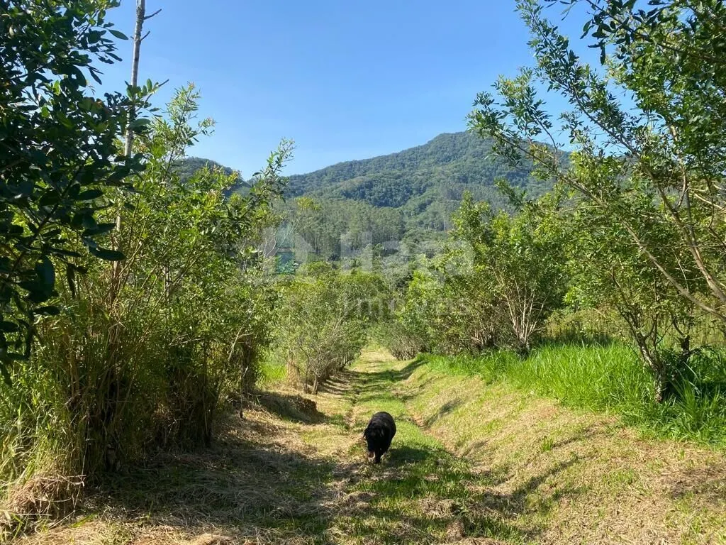 Fazenda à venda de 13 ha em Canelinha, SC, Brasil