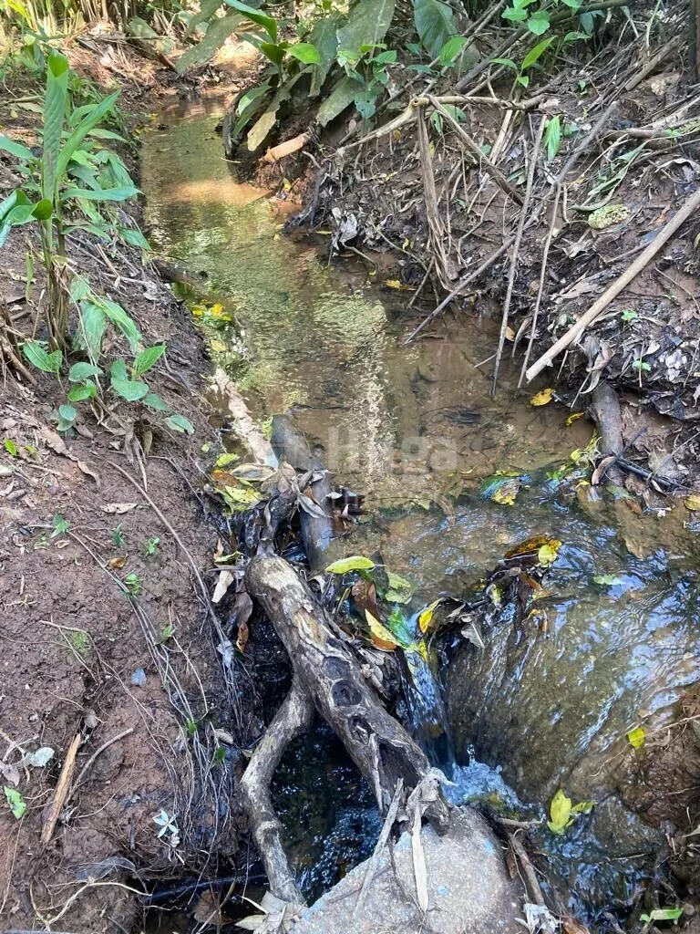 Fazenda à venda de 13 ha em Canelinha, SC, Brasil