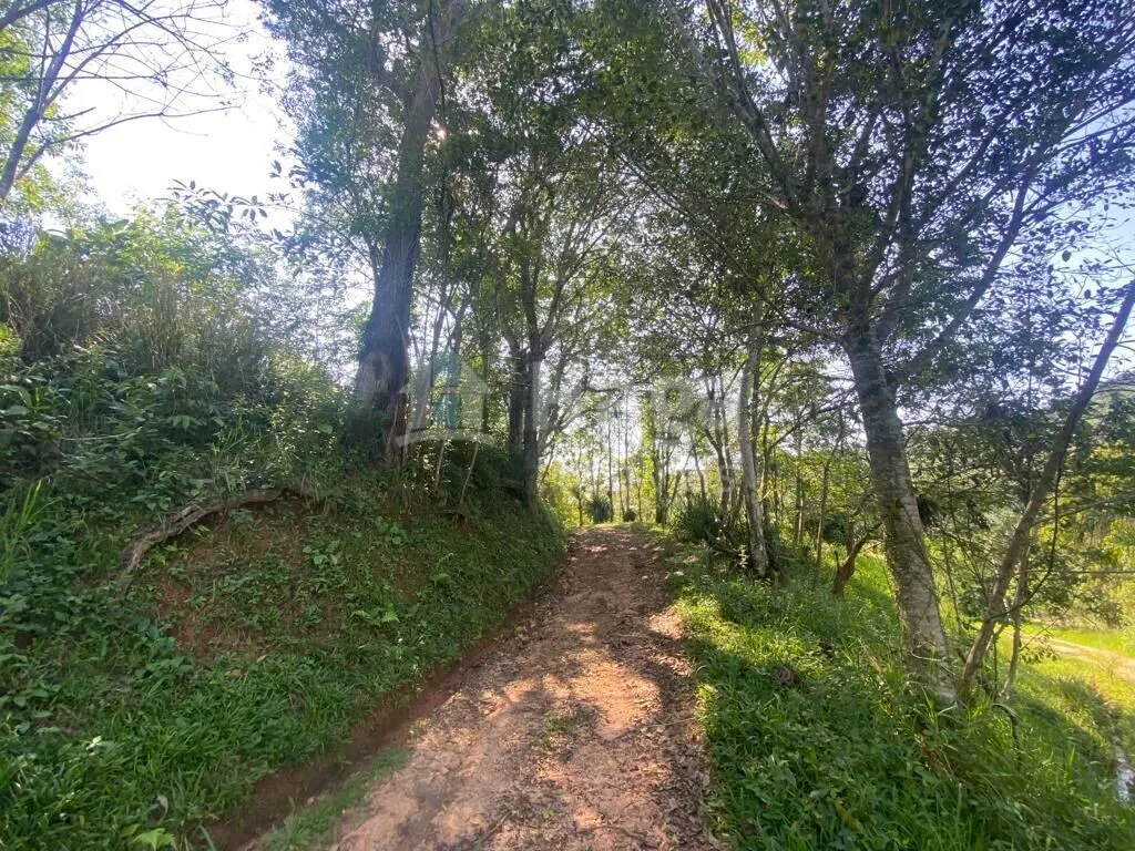 Fazenda à venda de 13 ha em Canelinha, SC, Brasil