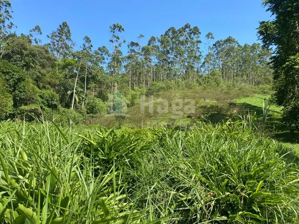 Fazenda à venda de 13 ha em Canelinha, SC, Brasil