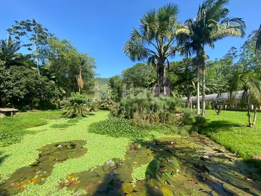 Fazenda à venda de 13 ha em Canelinha, SC, Brasil