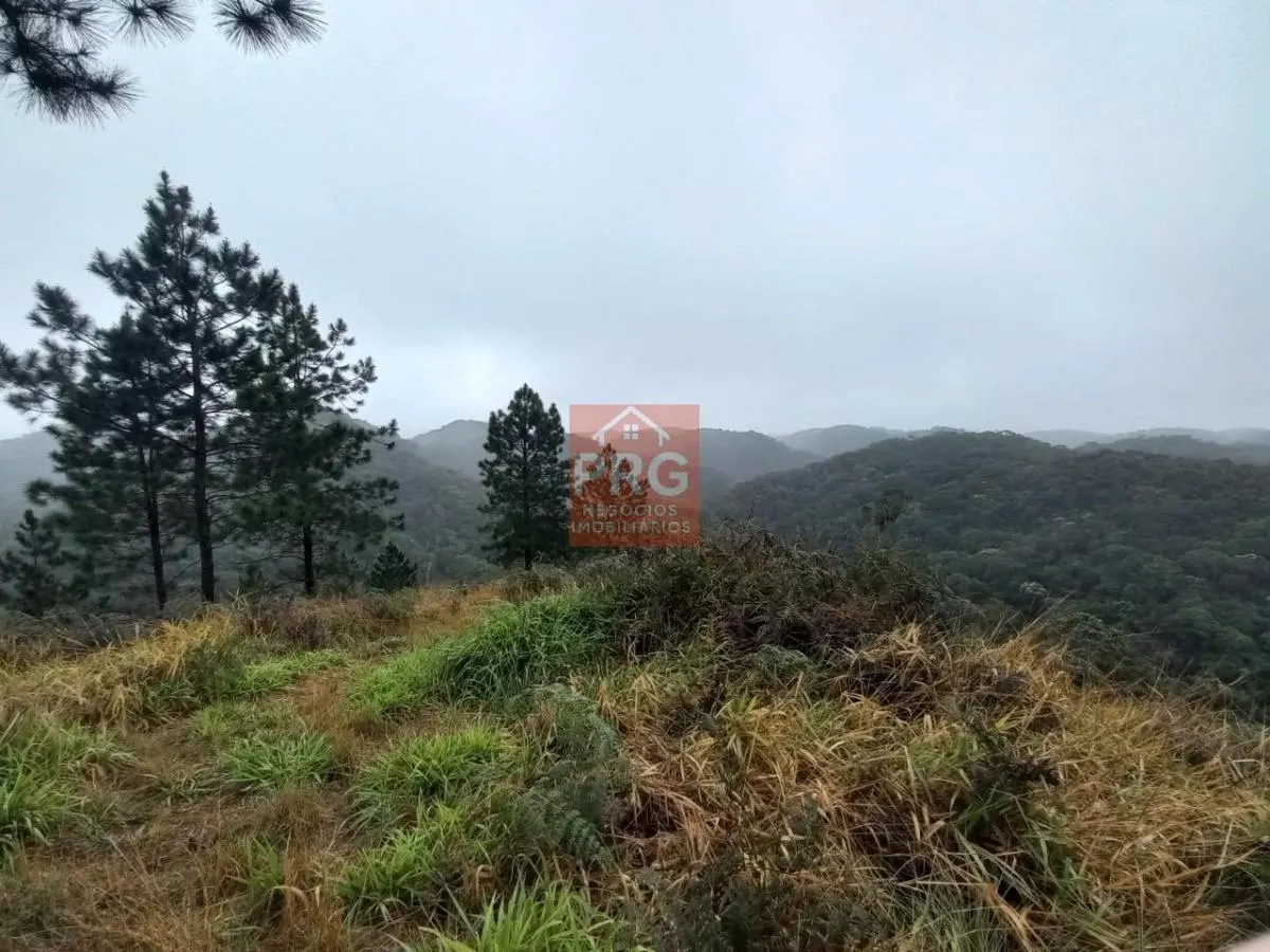 Small farm for sale of 17 acres in Juquitiba, SP, Brazil