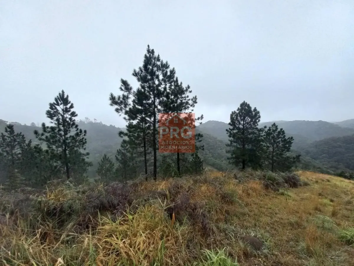 Small farm for sale of 17 acres in Juquitiba, SP, Brazil