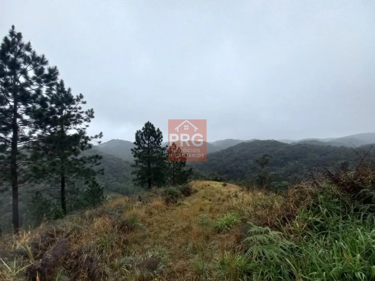 Small farm for sale of 17 acres in Juquitiba, SP, Brazil