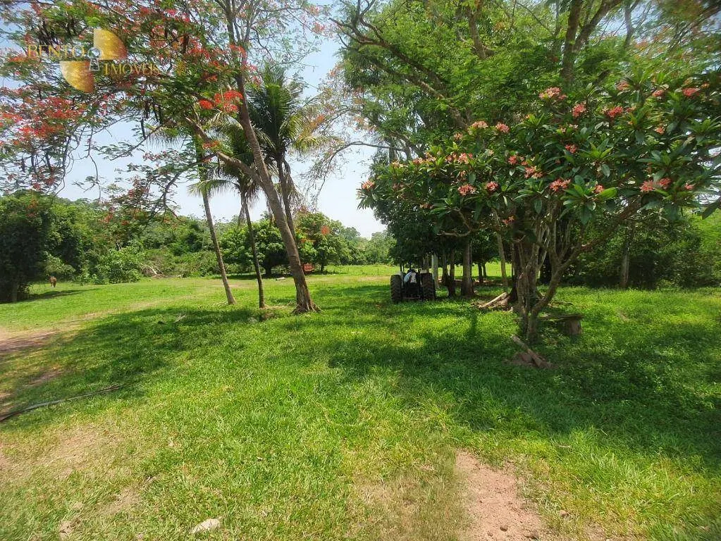 Fazenda à venda e para Arrendar de 150 ha em Rondonópolis, MT, Brasil