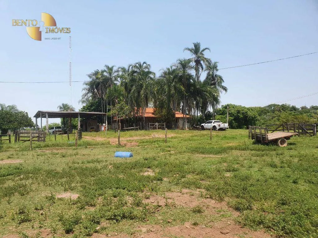 Fazenda à venda e para Arrendar de 150 ha em Rondonópolis, MT, Brasil