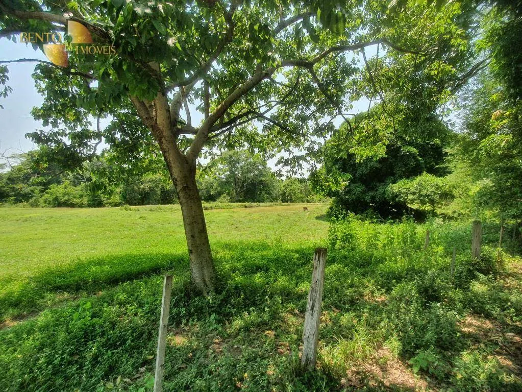 Fazenda à venda e para Arrendar de 150 ha em Rondonópolis, MT, Brasil