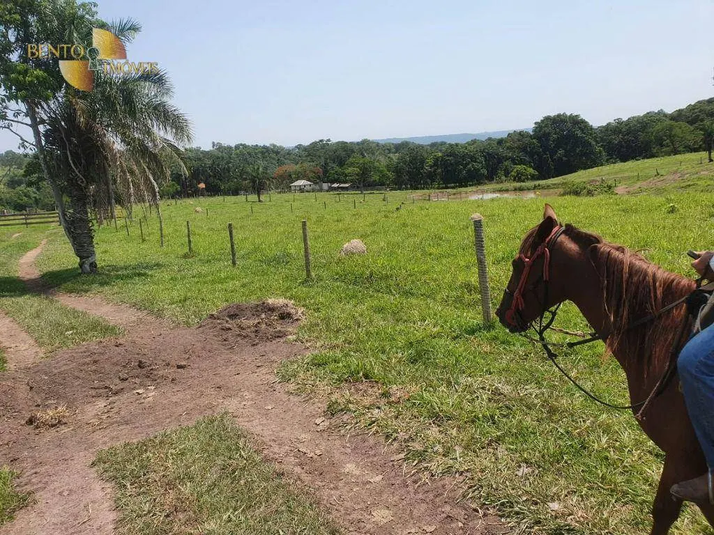 Fazenda à venda e para Arrendar de 150 ha em Rondonópolis, MT, Brasil