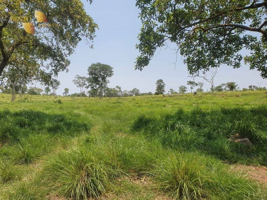 Fazenda à venda e para Arrendar de 150 ha em Rondonópolis, MT, Brasil