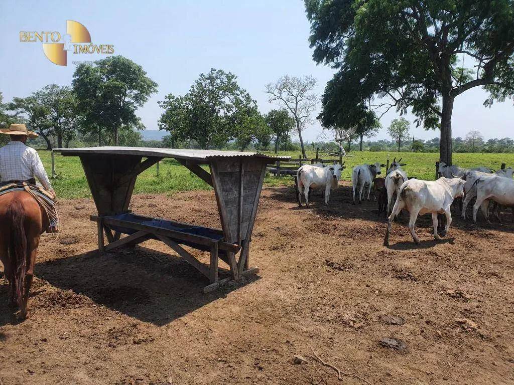 Fazenda à venda e para Arrendar de 150 ha em Rondonópolis, MT, Brasil