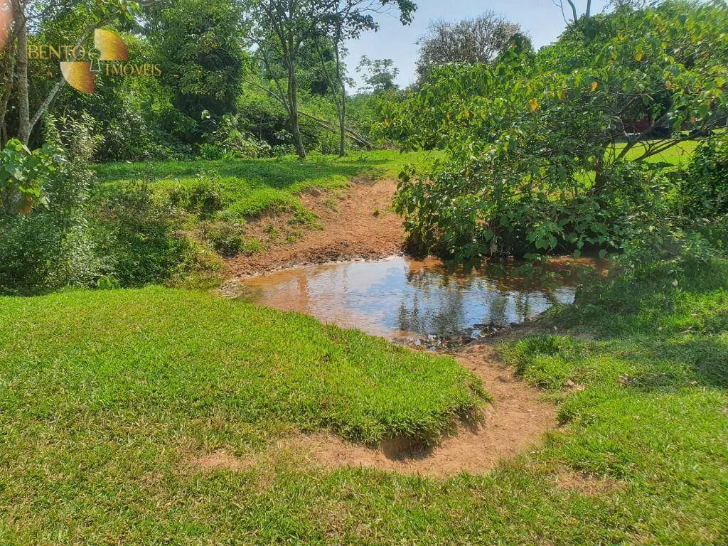 Fazenda à venda e para Arrendar de 150 ha em Rondonópolis, MT, Brasil