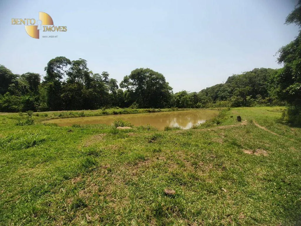 Fazenda à venda e para Arrendar de 150 ha em Rondonópolis, MT, Brasil