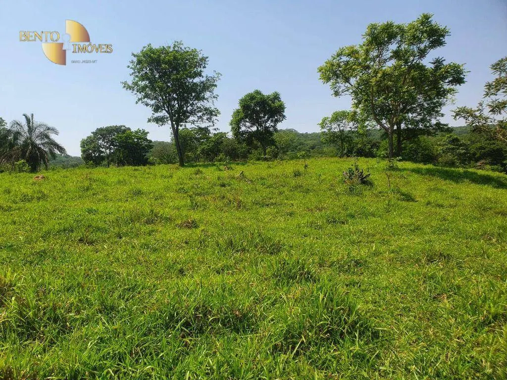 Fazenda à venda e para Arrendar de 150 ha em Rondonópolis, MT, Brasil