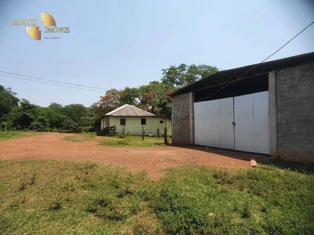 Fazenda à venda e para Arrendar de 150 ha em Rondonópolis, MT, Brasil