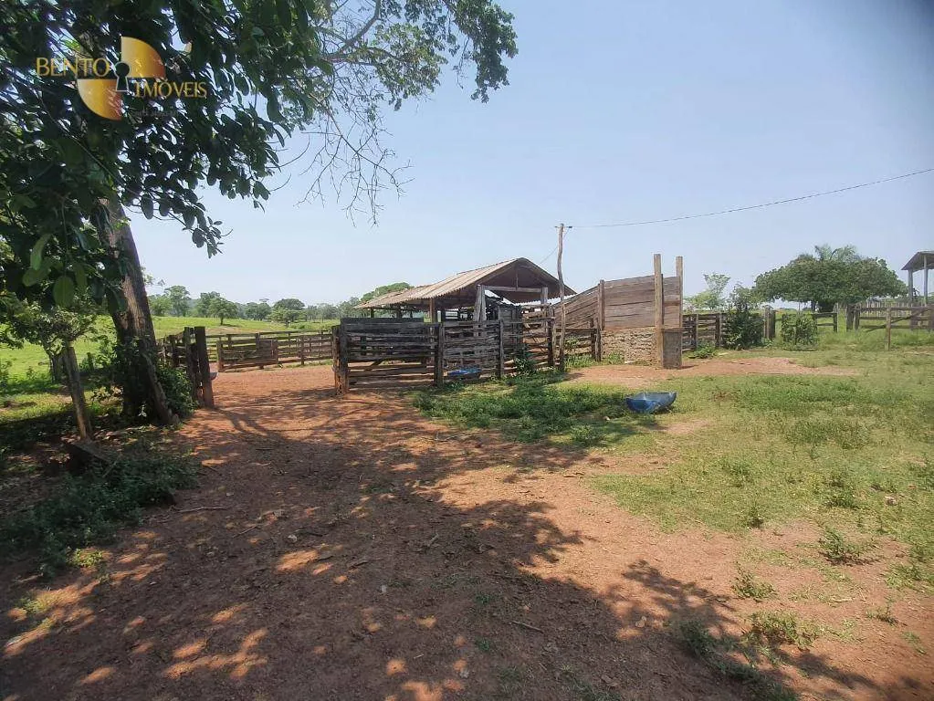 Fazenda à venda e para Arrendar de 150 ha em Rondonópolis, MT, Brasil
