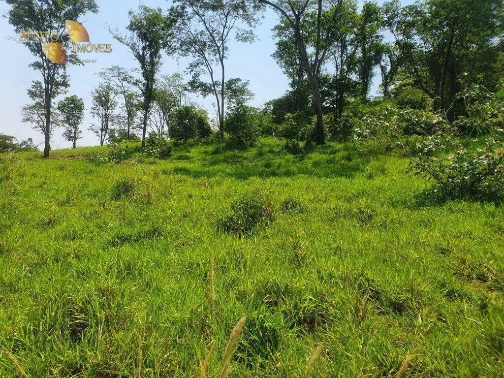 Fazenda à venda e para Arrendar de 150 ha em Rondonópolis, MT, Brasil