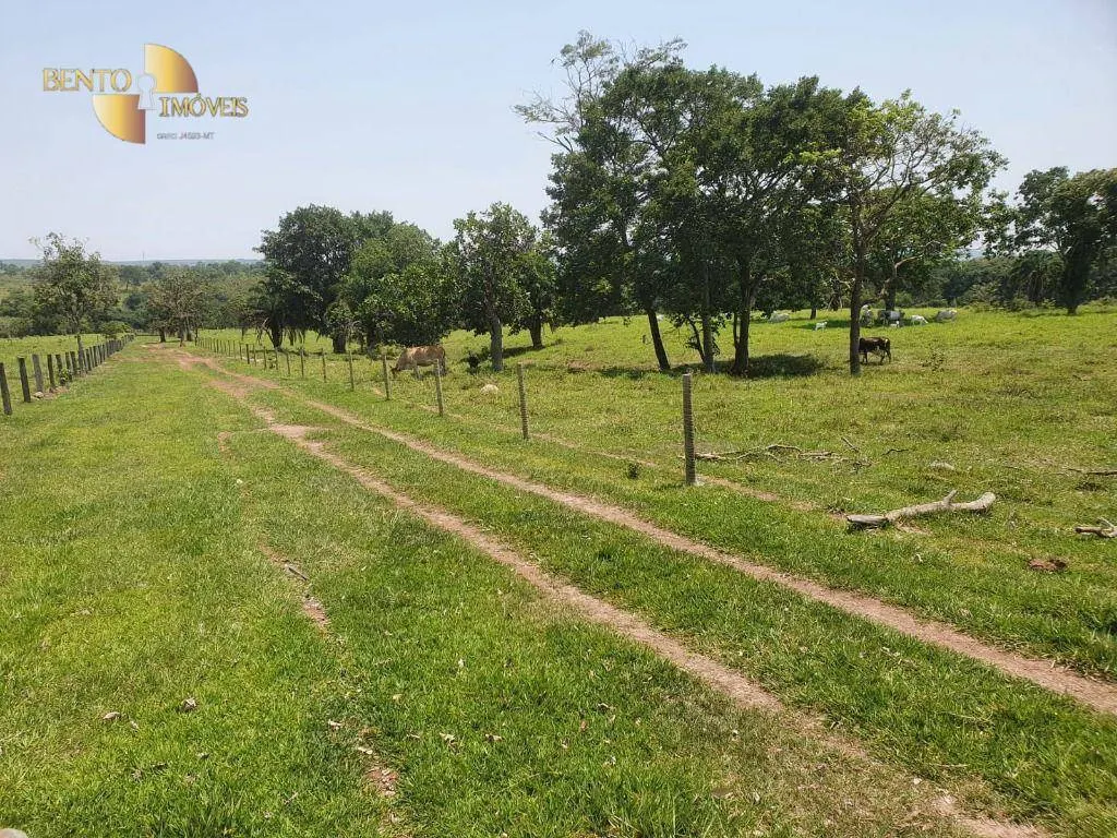 Fazenda à venda e para Arrendar de 150 ha em Rondonópolis, MT, Brasil