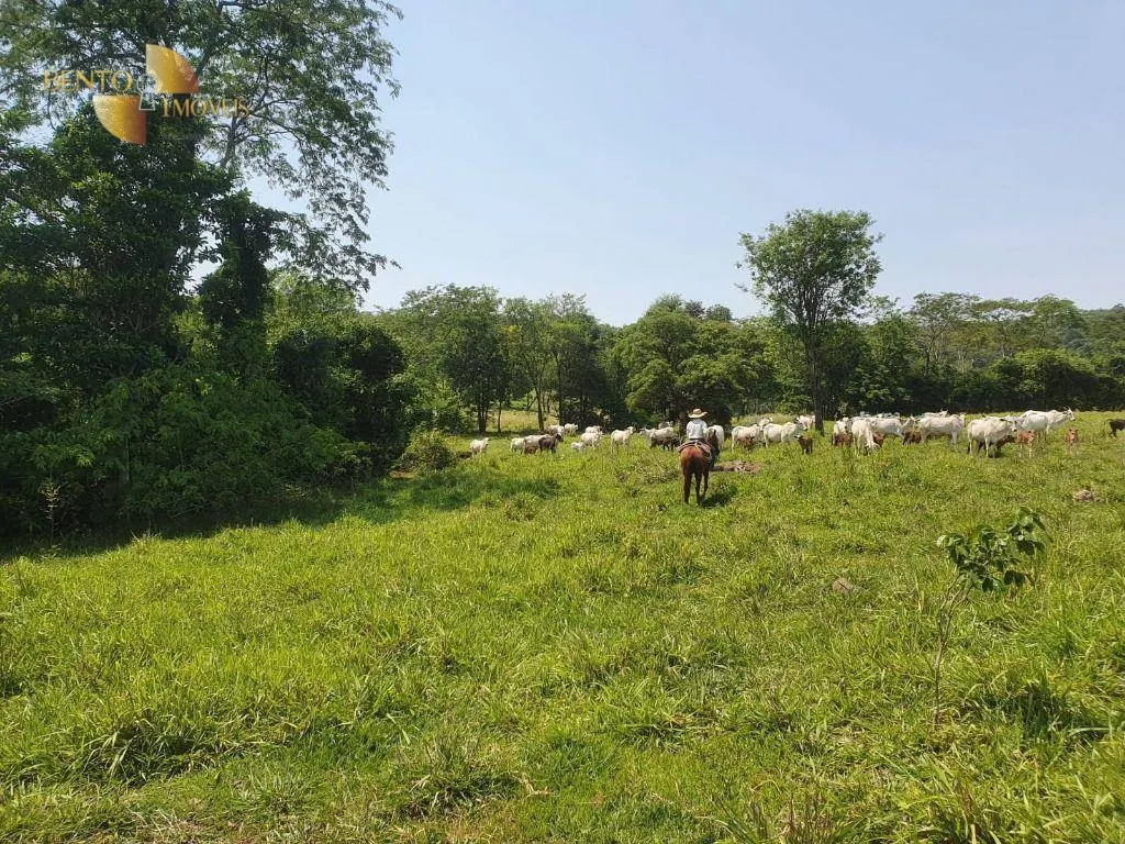 Fazenda à venda e para Arrendar de 150 ha em Rondonópolis, MT, Brasil