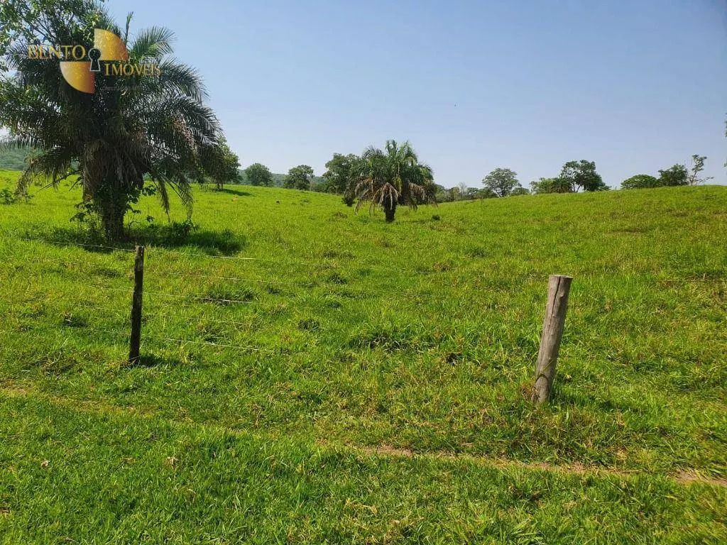 Fazenda à venda e para Arrendar de 150 ha em Rondonópolis, MT, Brasil