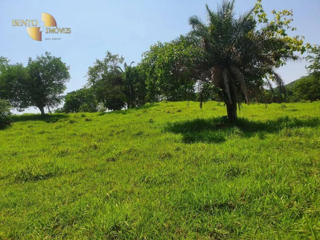 Fazenda à venda e para Arrendar de 150 ha em Rondonópolis, MT, Brasil