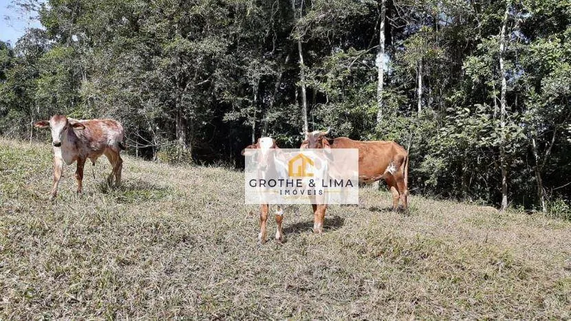 Small farm for sale of 90 acres in Natividade da Serra, SP, Brazil