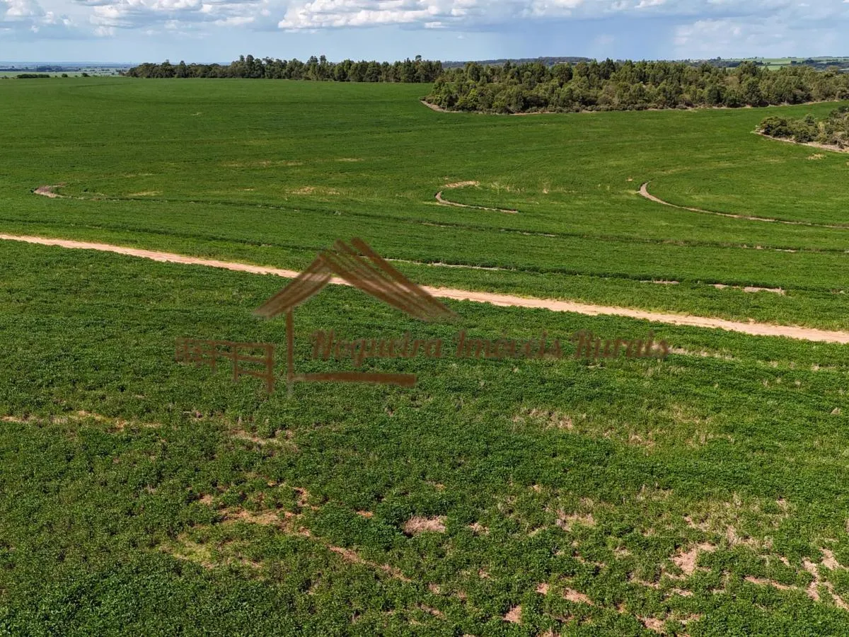 Fazenda à venda de 169 ha em Avaré, SP, Brasil