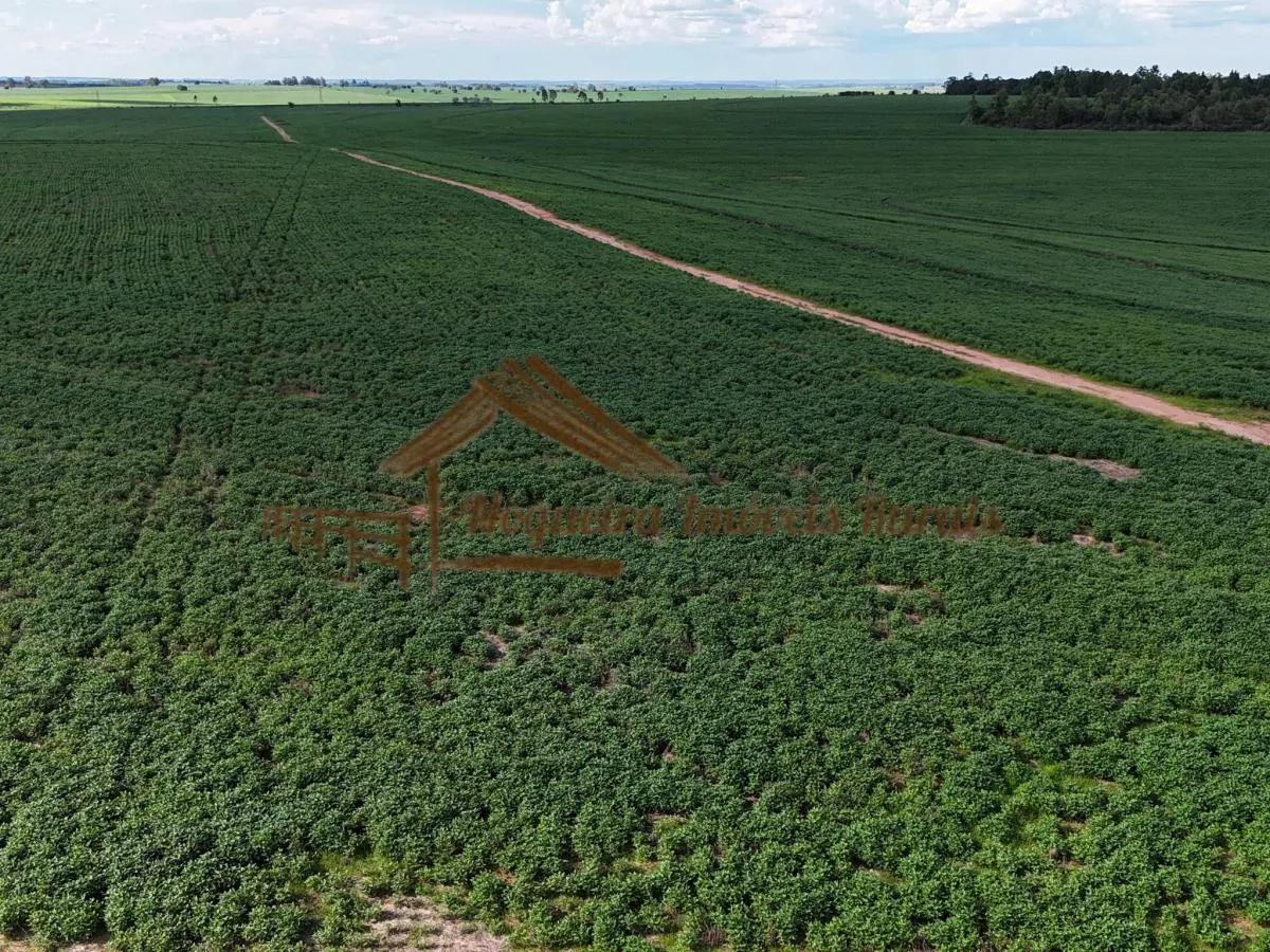 Fazenda à venda de 169 ha em Avaré, SP, Brasil
