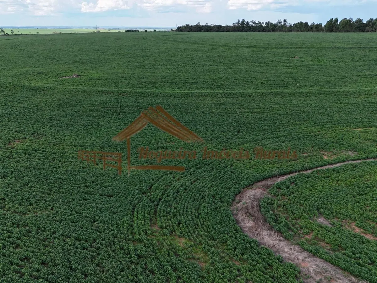 Fazenda à venda de 169 ha em Avaré, SP, Brasil