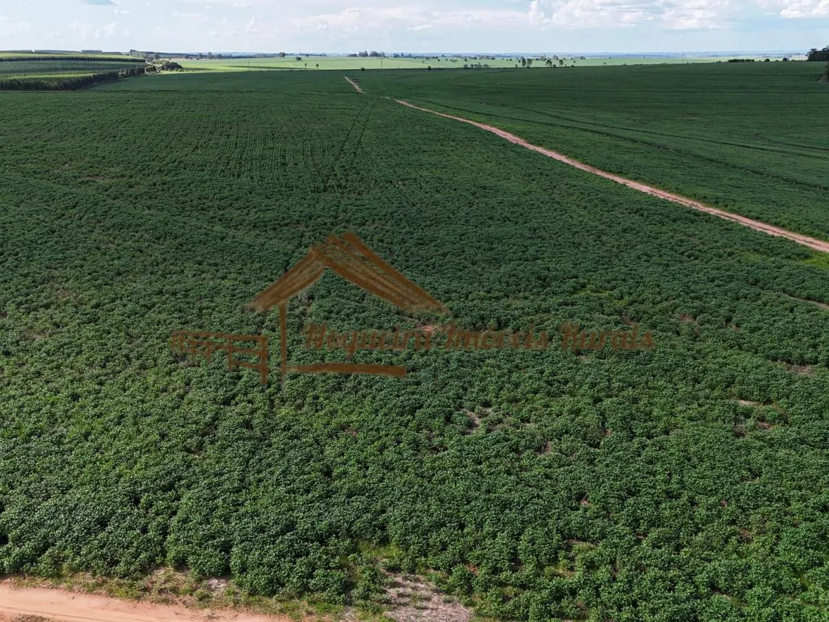 Fazenda à venda de 169 ha em Avaré, SP, Brasil
