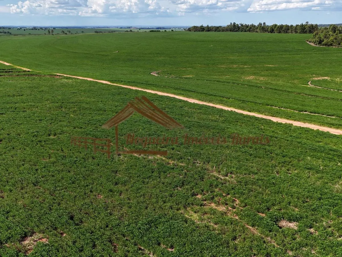 Fazenda à venda de 169 ha em Avaré, SP, Brasil
