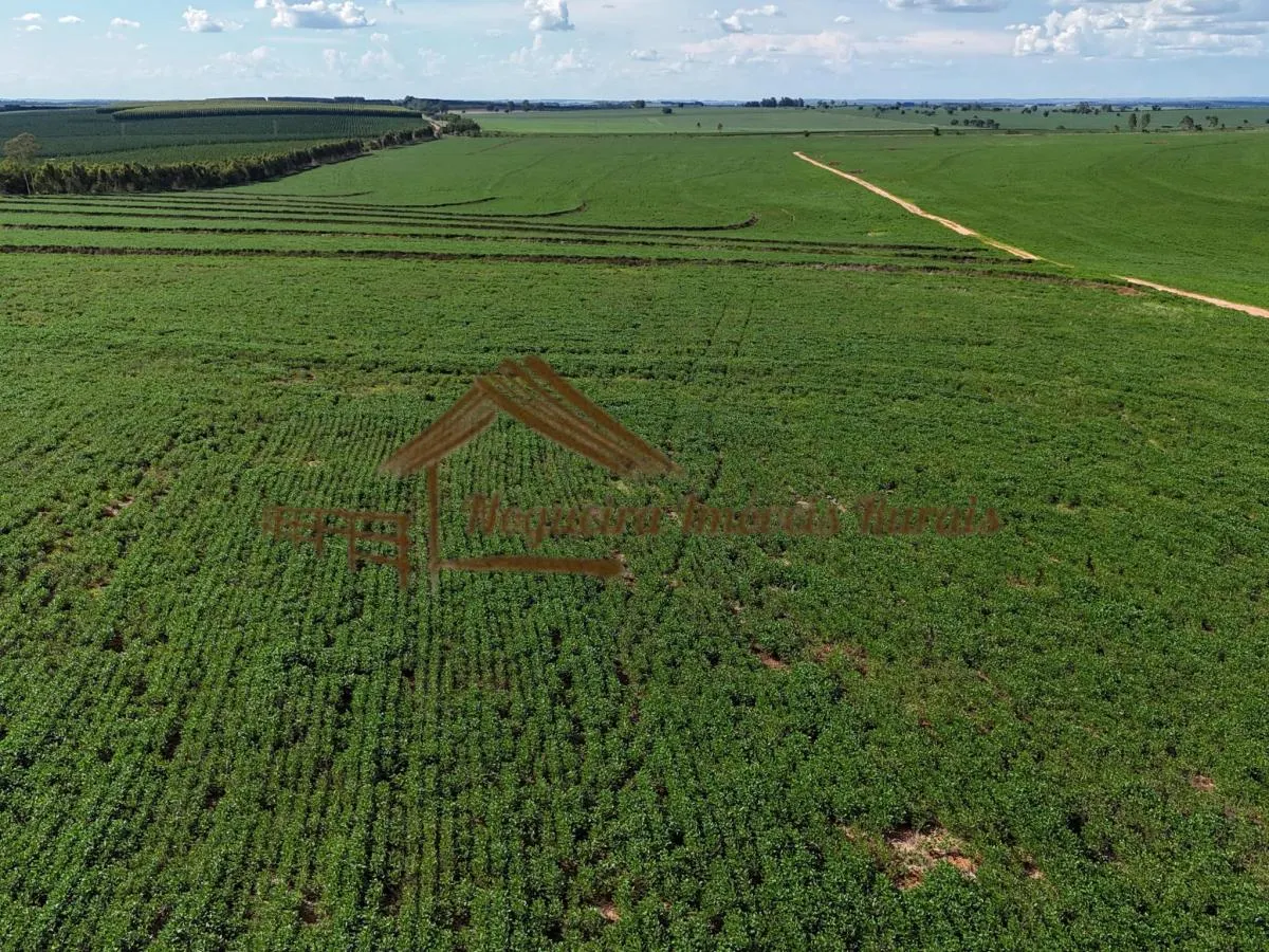 Fazenda à venda de 169 ha em Avaré, SP, Brasil