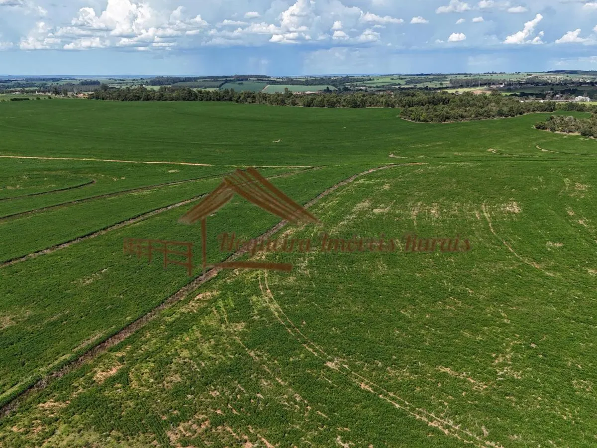 Fazenda à venda de 169 ha em Avaré, SP, Brasil