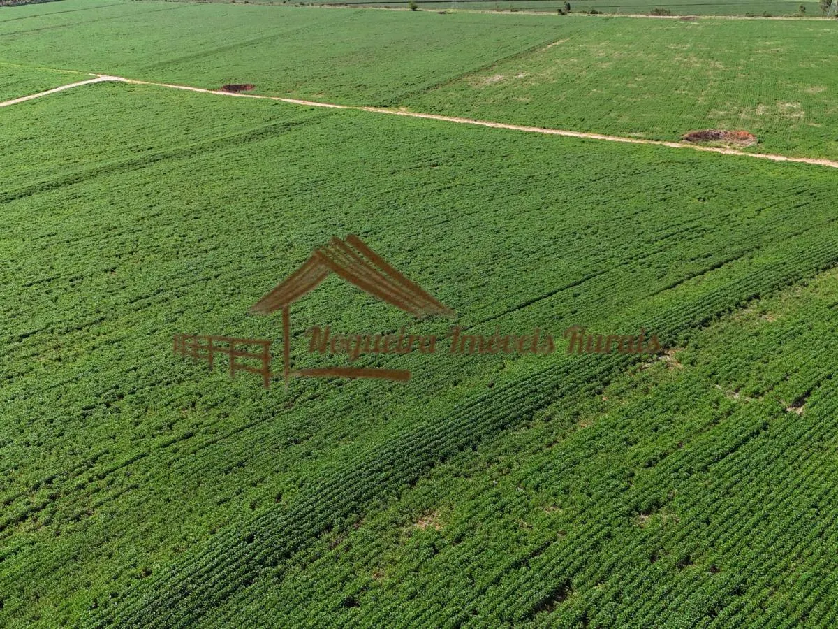 Fazenda à venda de 169 ha em Avaré, SP, Brasil