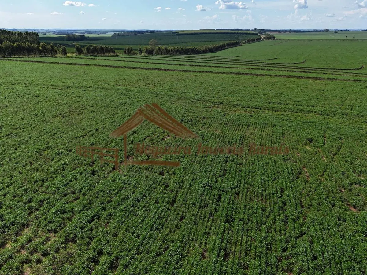 Fazenda à venda de 169 ha em Avaré, SP, Brasil