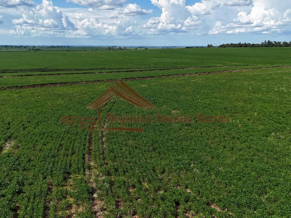 Fazenda à venda de 169 ha em Avaré, SP, Brasil